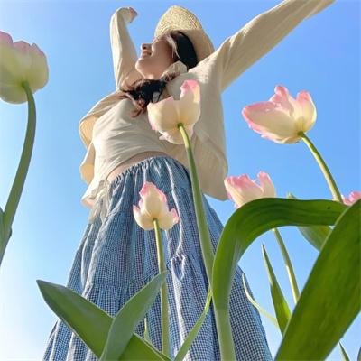 法外风云粤语